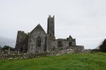 PICTURES/Ennis Friary & Quinn Friary/t_DSC04772.JPG